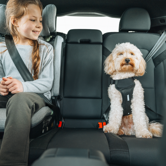 THULE L ძაღლის უსაფრთხოების ჰარნესი მანქანისთვის THULE L ძაღლის უსაფრთხოების ჰარნესი მანქანისთვის